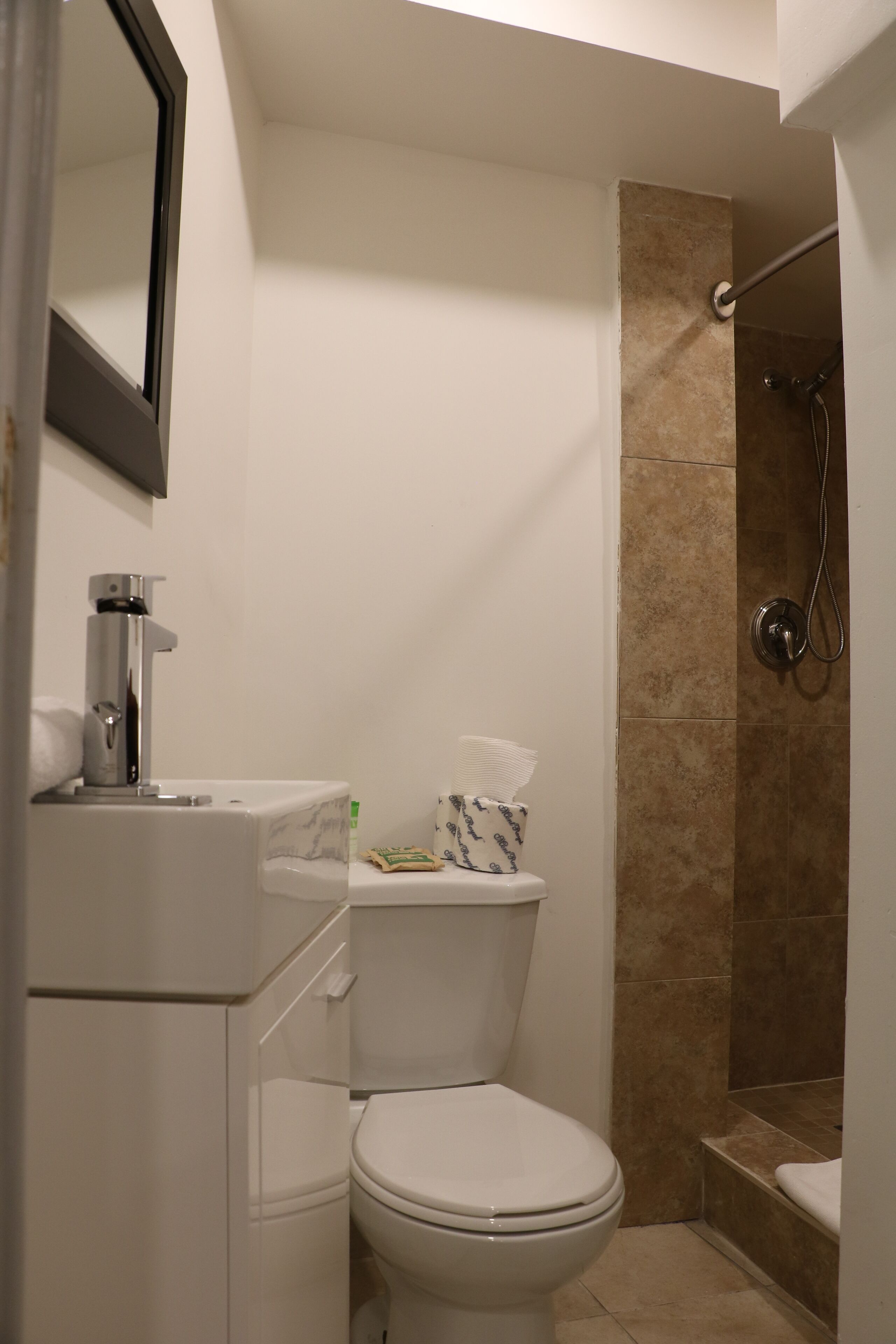 A bathroom with a toilet, a sink, a mirror, and a shower area.