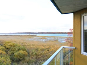Vista desde la habitación