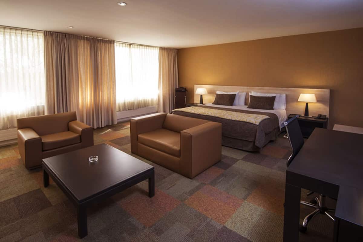 Una habitación de hotel con una cama, dos sofás, una mesa de centro, un escritorio y una lámpara.