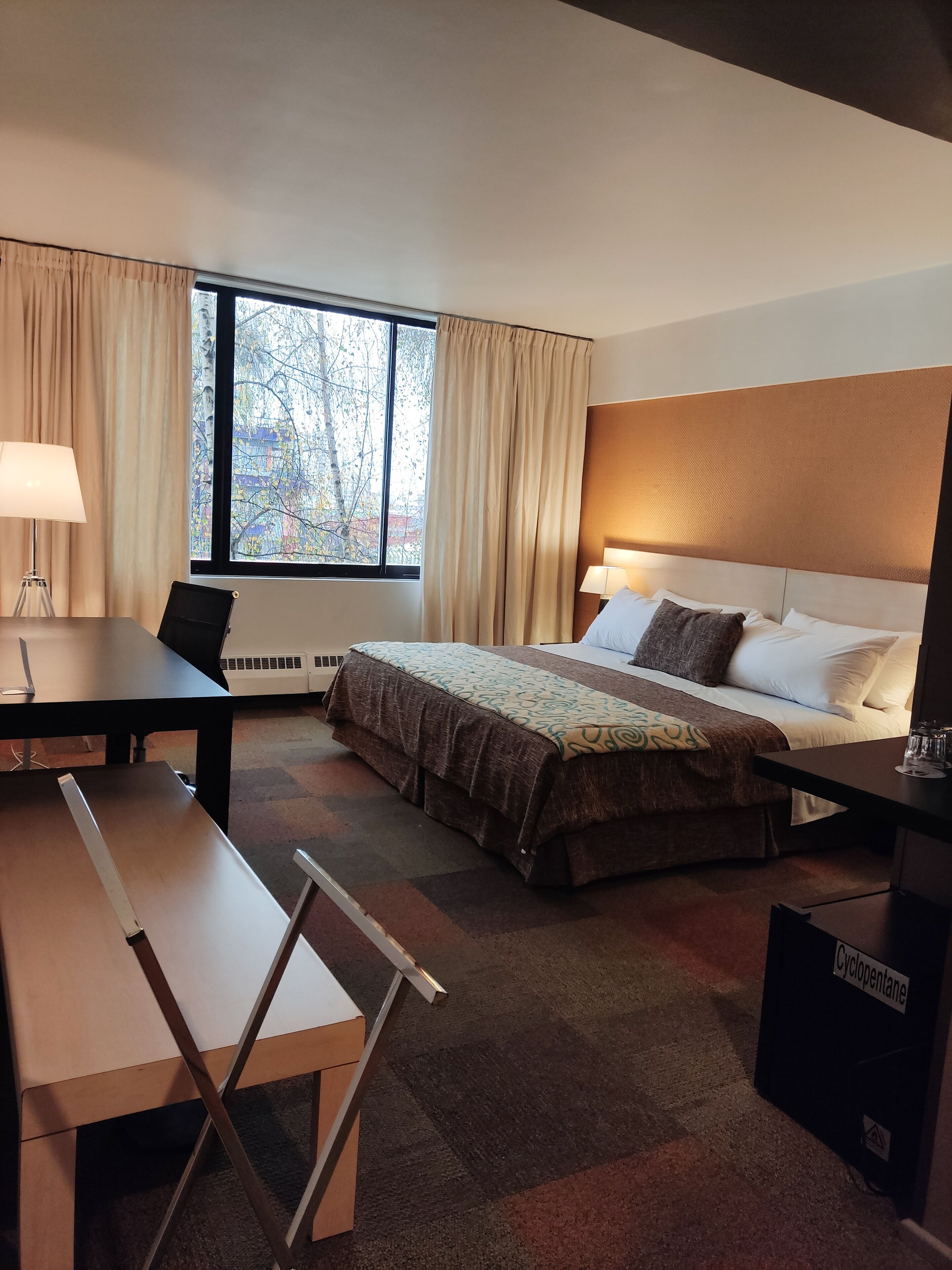 Une chambre d’hôtel comprenant un lit, une table de chevet, une lampe et un bureau avec une chaise.