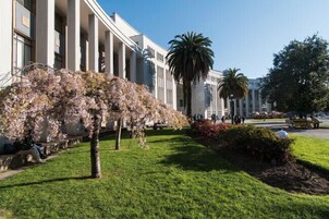 Un edificio con una fila de columnas, un árbol con flores rosadas y una palmera.