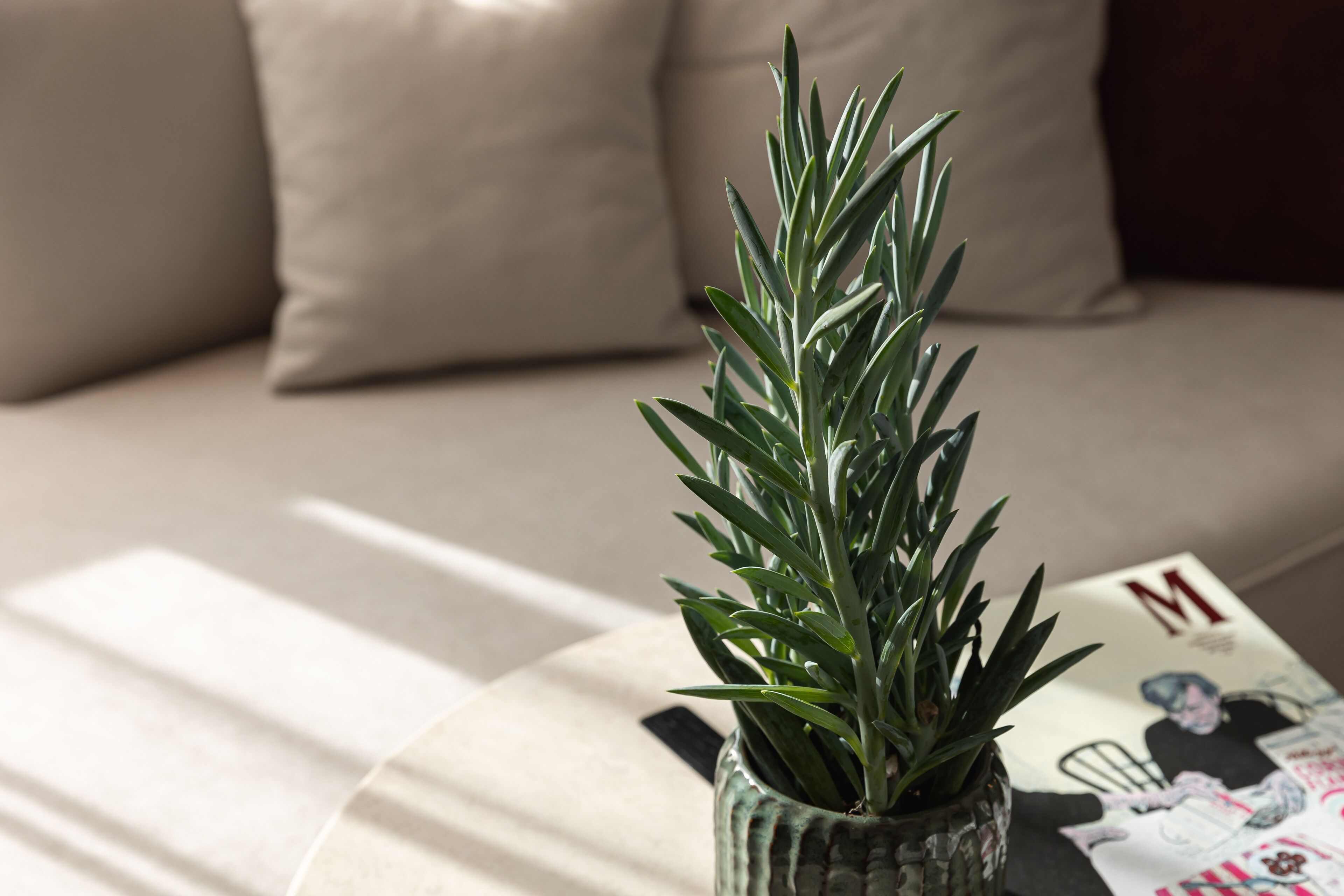 executive suite, balcony | premium bedding, minibar, in-room safe, desk