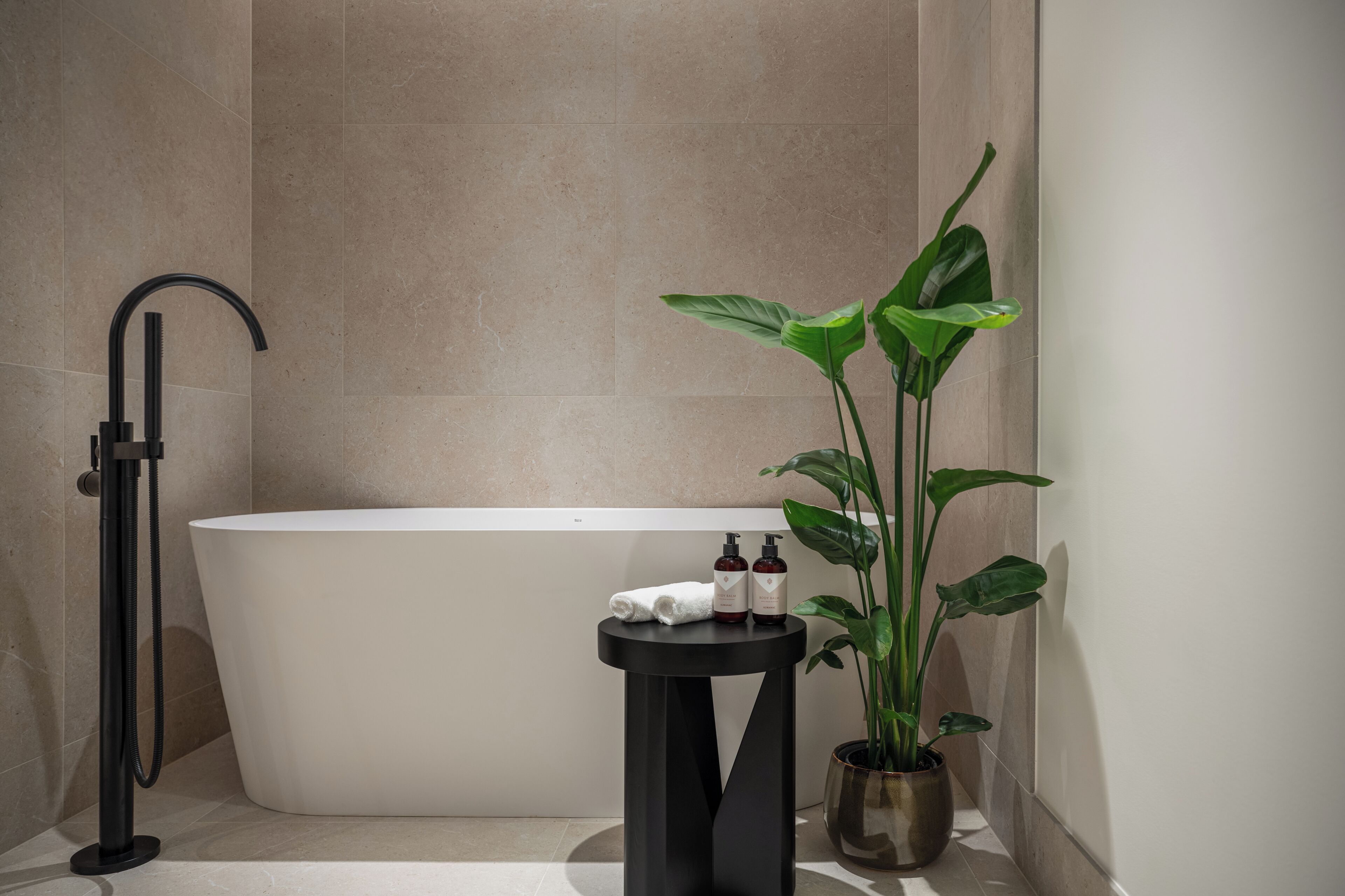 Une salle de bain moderne avec une baignoire sur pieds, un lavabo sur colonne noir et une plante en pot.