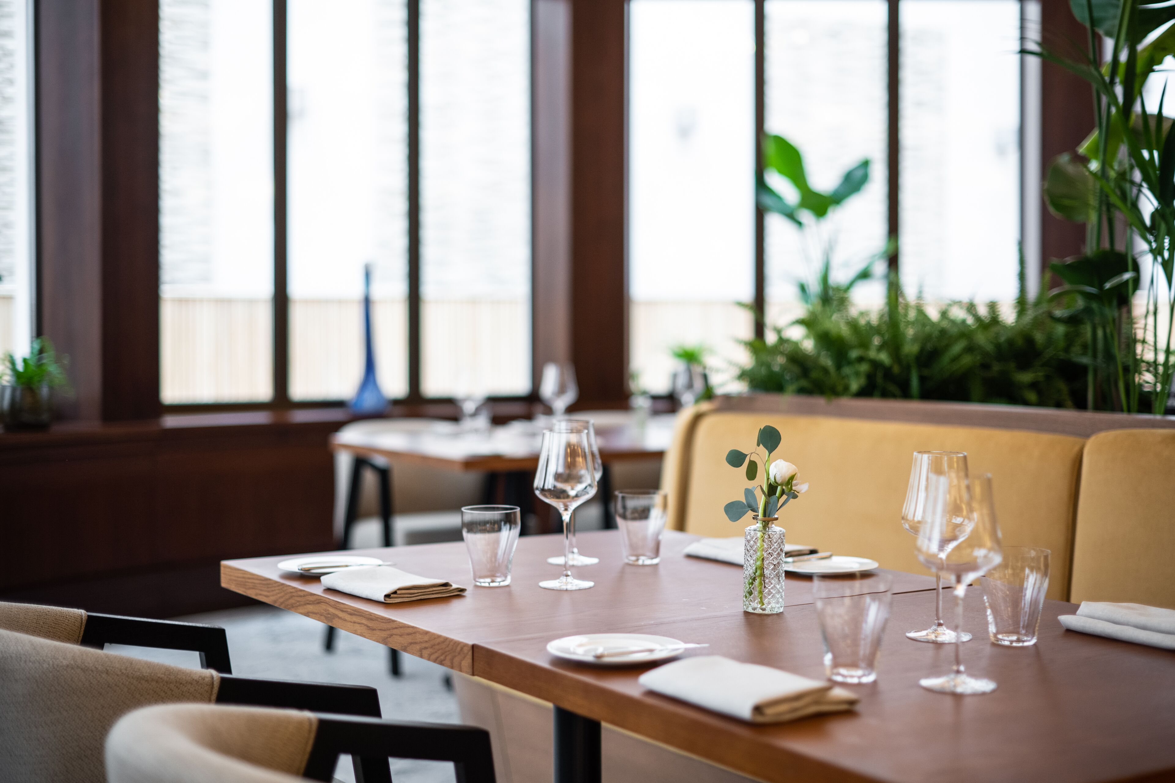 En restaurang med ett träbord dukat för middag, stora fönster och krukväxter inomhus.