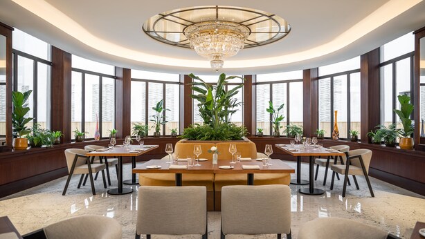 A modern dining area with a central table surrounded by chairs, large windows, and potted plants.