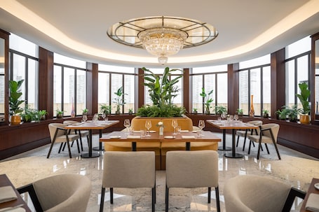 Restaurante. Almanac X Alcron Prague