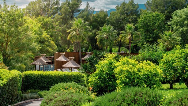 Un exuberante jardín con palmeras, un bar y construcciones de techo de paja.