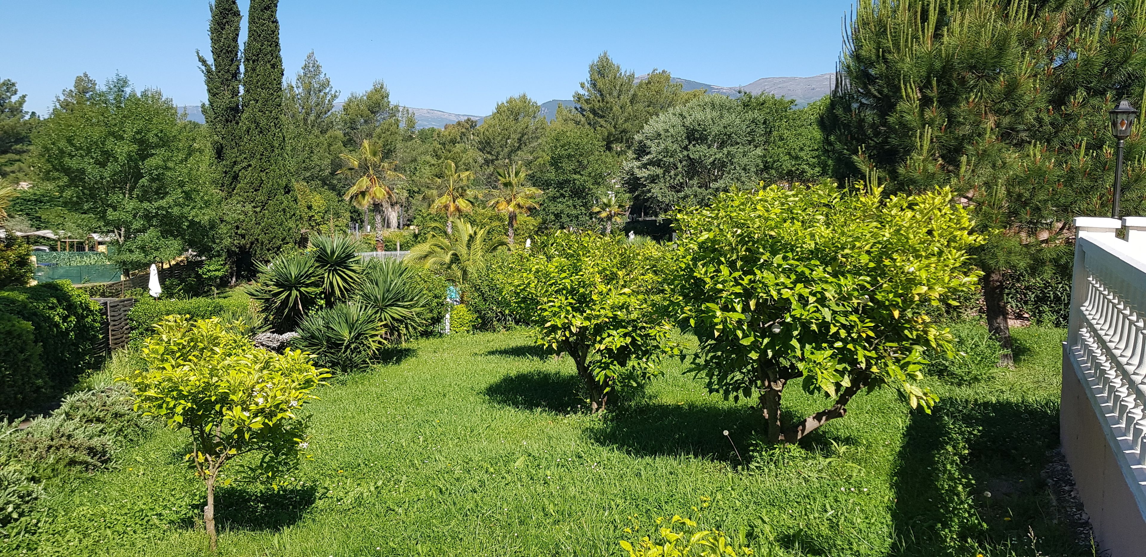 Un jardin luxuriant, avec une variété d’arbres et d’arbustes, un ciel dégagé et des montagnes à l’horizon.