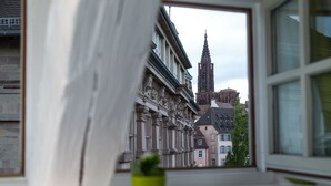 A view through a window with a potted plant on the sill, overlooking a building with classical architecture and a tall spire. - Hotel Du Dragon (Strasbourg)