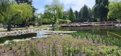 SureStay by Best Western Richmond Vancouver Airport