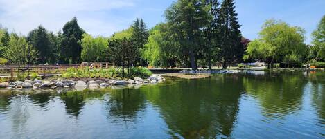 Un parque tranquilo con un estanque, rodeado de árboles y un puente de madera.