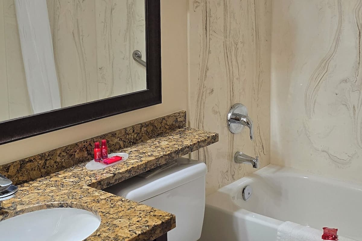 Combined shower/tub, free toiletries, hair dryer, towels