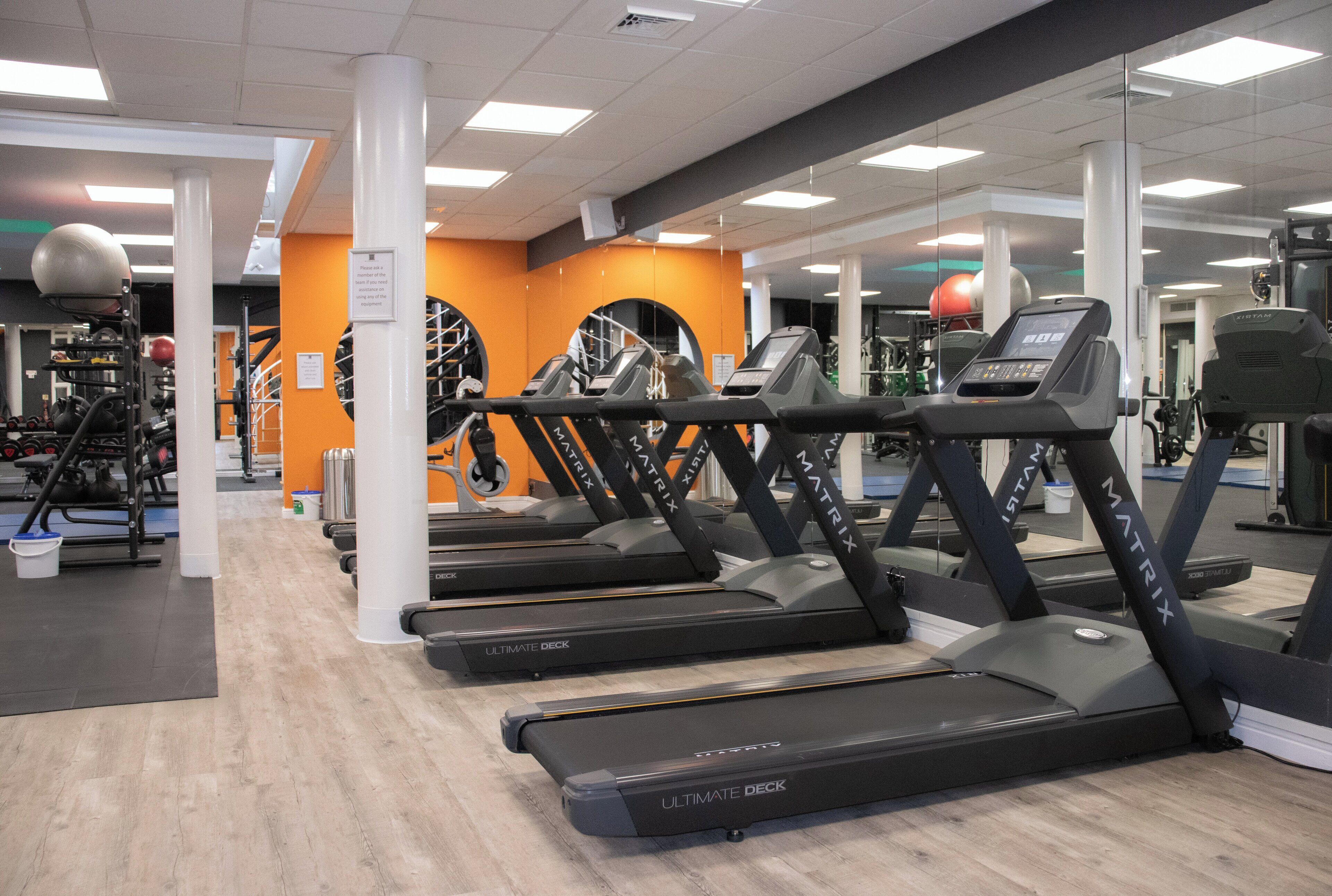 A gym with treadmills, exercise balls, and weight machines.