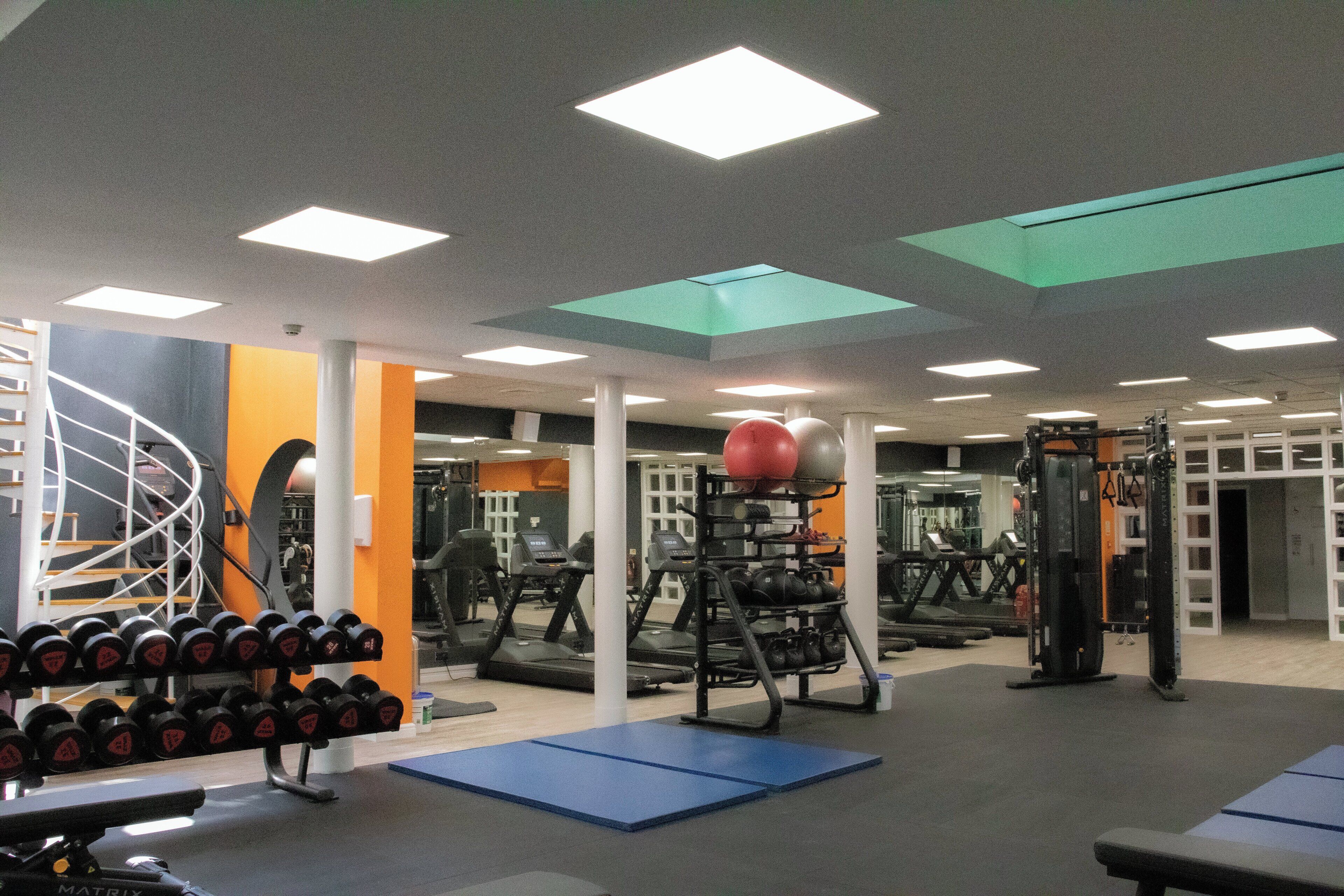 A gym with treadmills, weight machines, and free weights.