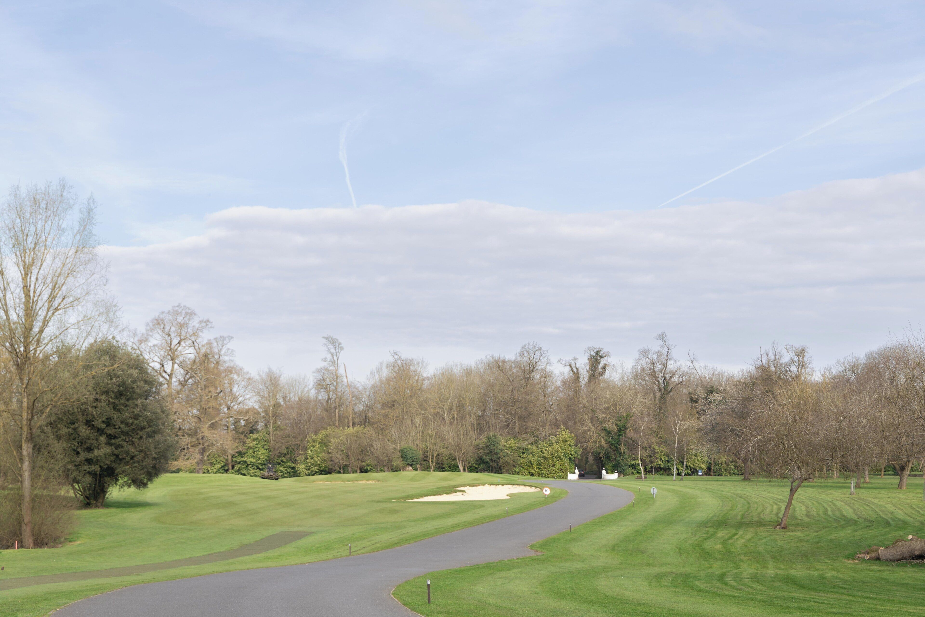 Een golfbaan met een slingerende pad, bomen en een heldere lucht.