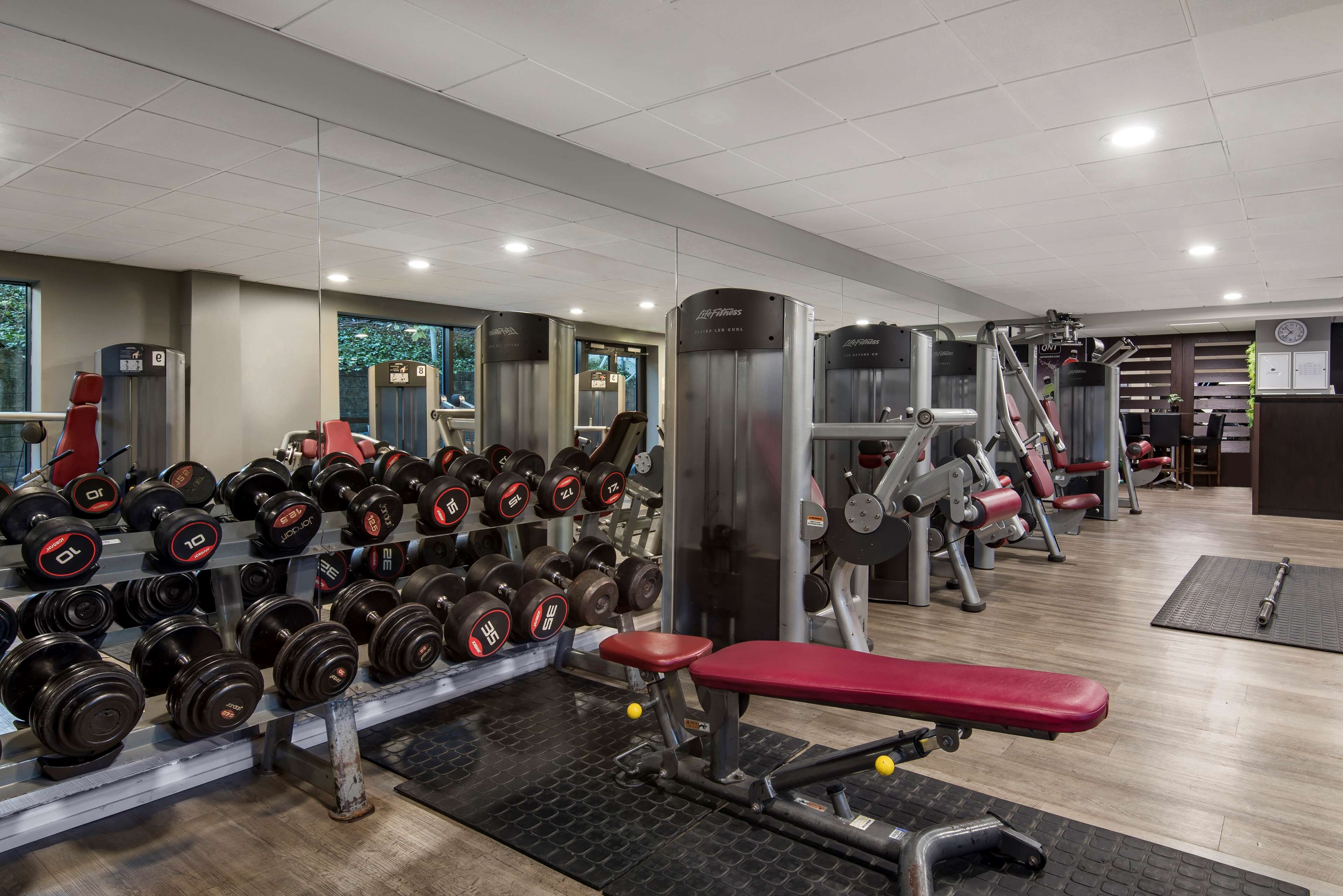 Un gimnasio con equipamiento de levantamiento de pesas, una banca y un muro de espejos.