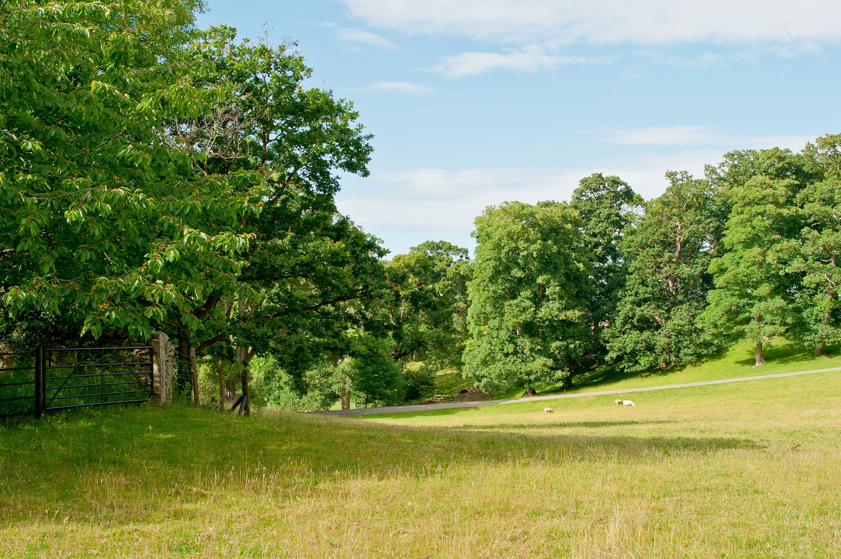 Photo - Bodysgallen Hall and Spa