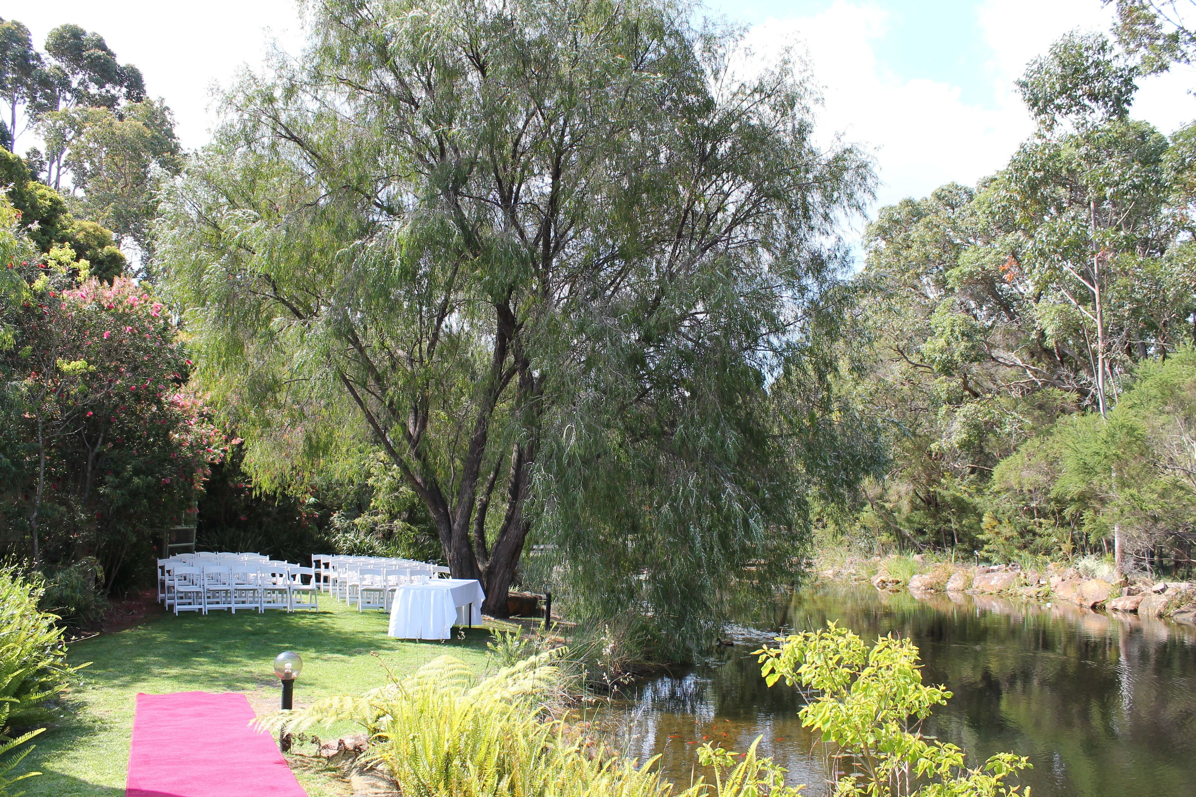 outdoor wedding area