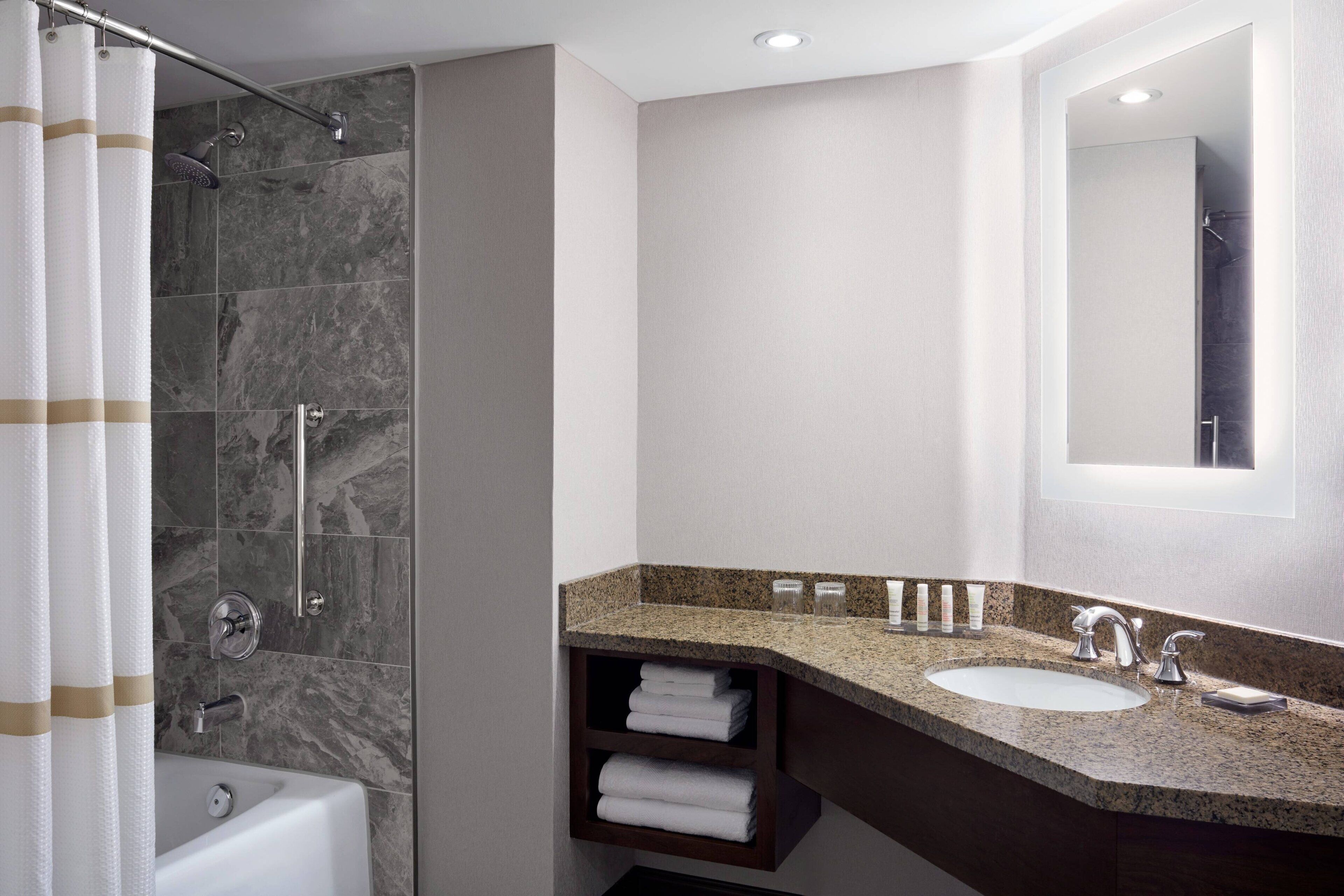 A modern bathroom with a shower, bathtub, and vanity with a sink and mirror.