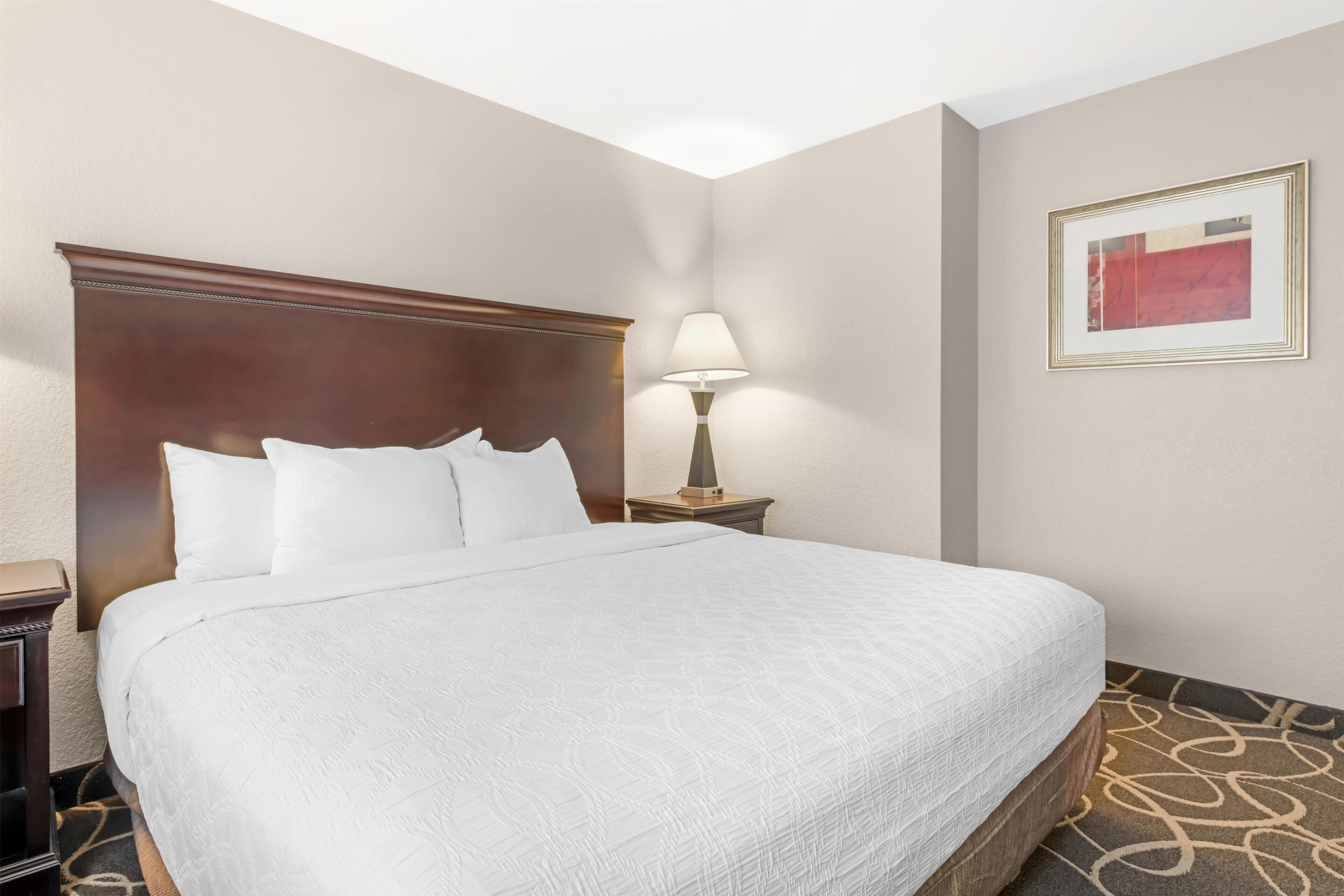 Quarto de hotel com uma cama grande, mesa de cabeceira com abajur e quadro na parede.