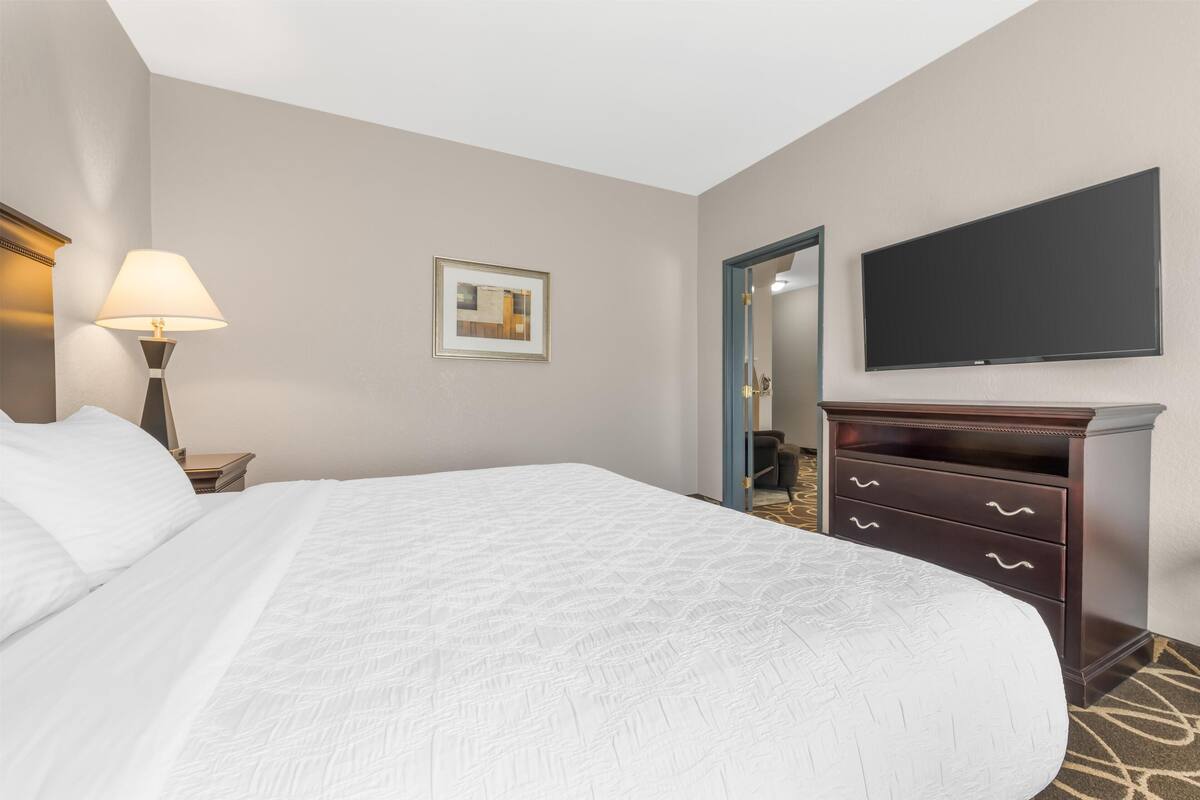 Una habitación de hotel con una cama grande, una mesita de noche con lámpara, un aparador con cajones, un televisor de pantalla plana montado en la pared y un cuadro enmarcado.