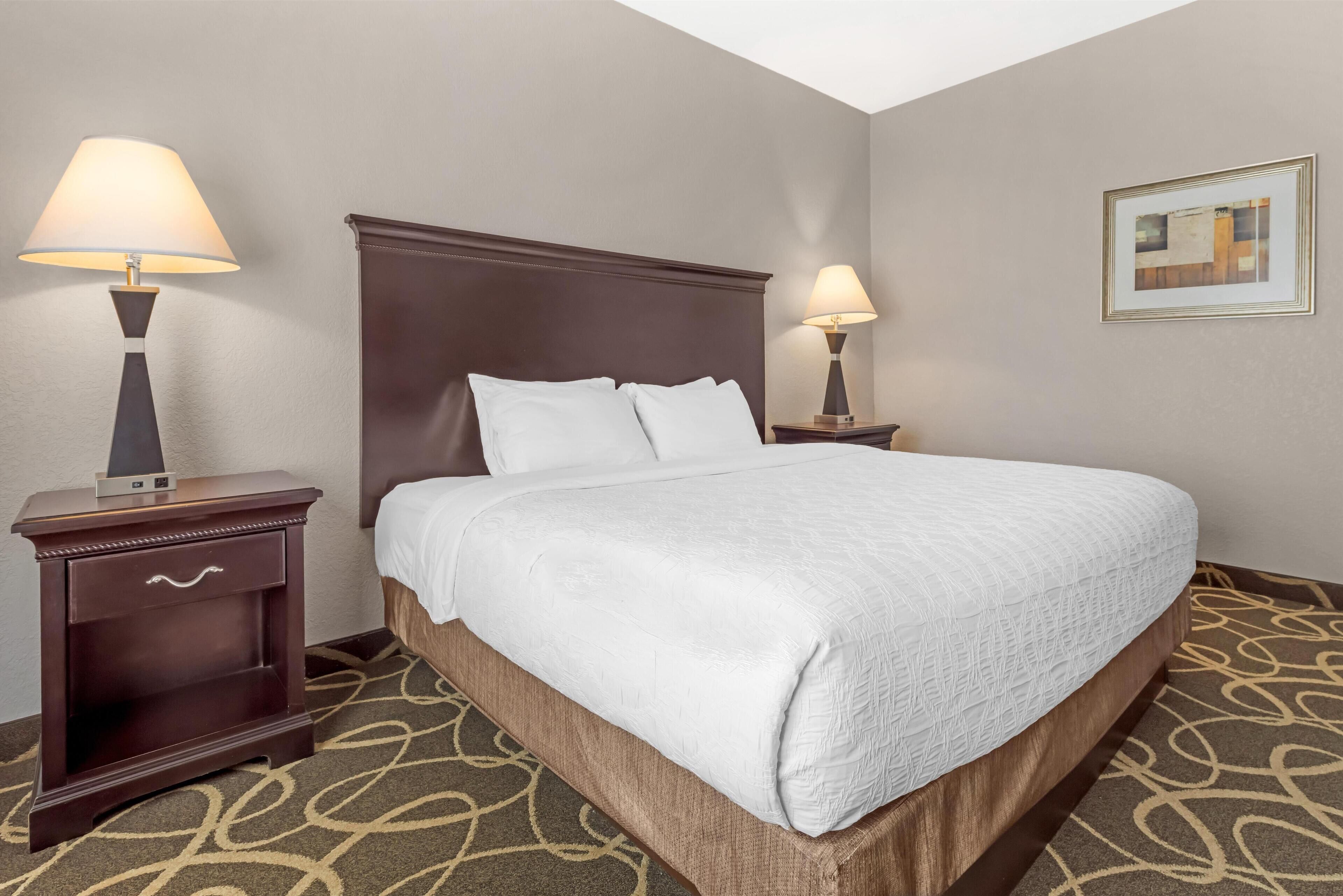 A hotel room with a large bed, two bedside tables with lamps, a carpeted floor, and a framed picture on the wall.