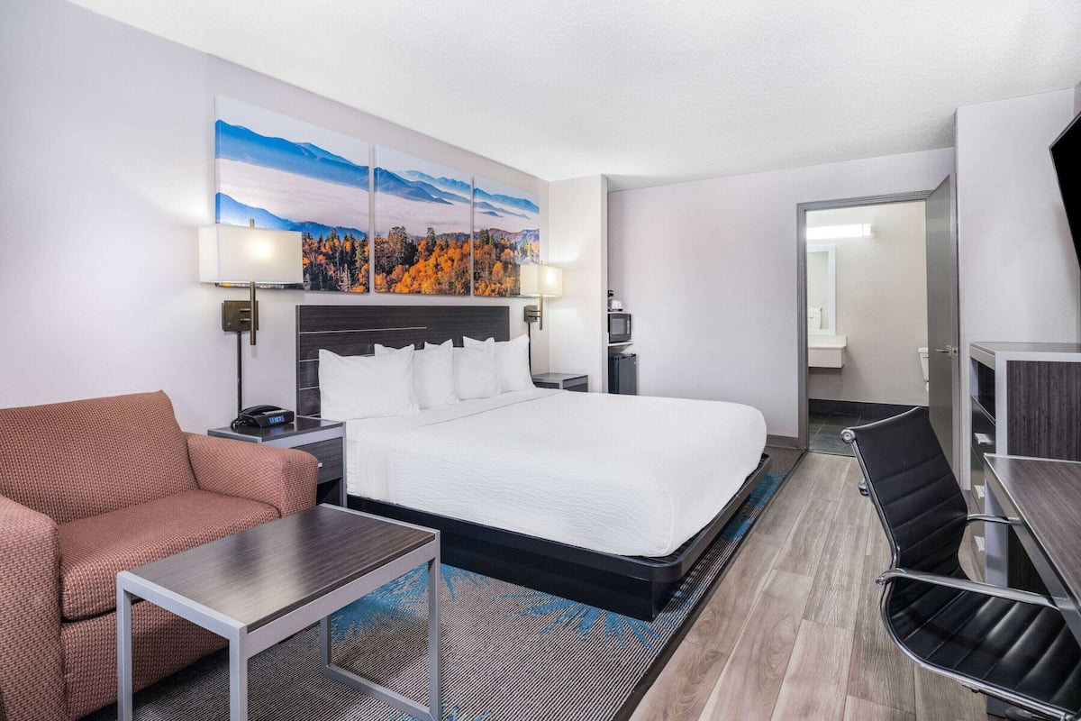A hotel room with a large bed, a sofa, a desk, and a TV.