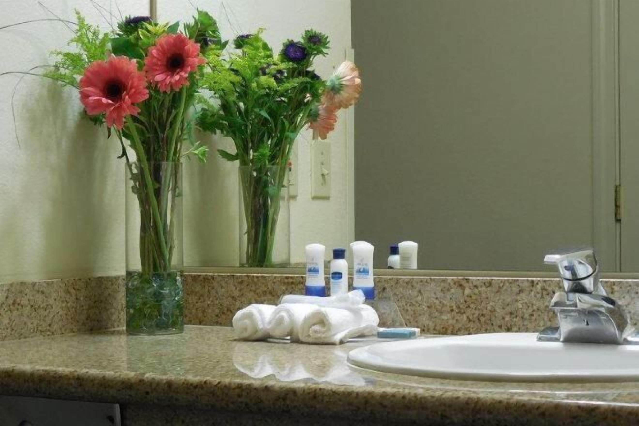 Vòi sen/bồn tắm kết hợp, đồ dùng nhà tắm miễn phí, máy sấy tóc 