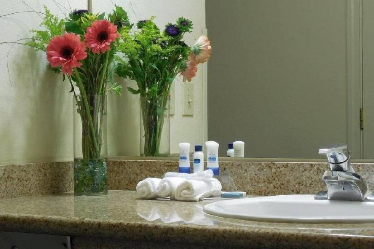 Suihkun ja ammeen yhdistelmä, ilmaiset hygieniatuotteet, hiustenkuivaaja