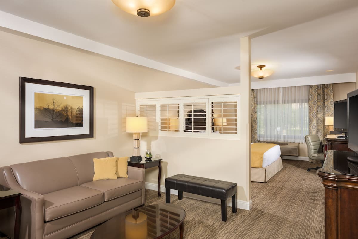 Habitación de hotel con sofá, una mesita, un banco, cama, televisión y ventana con cortinas.