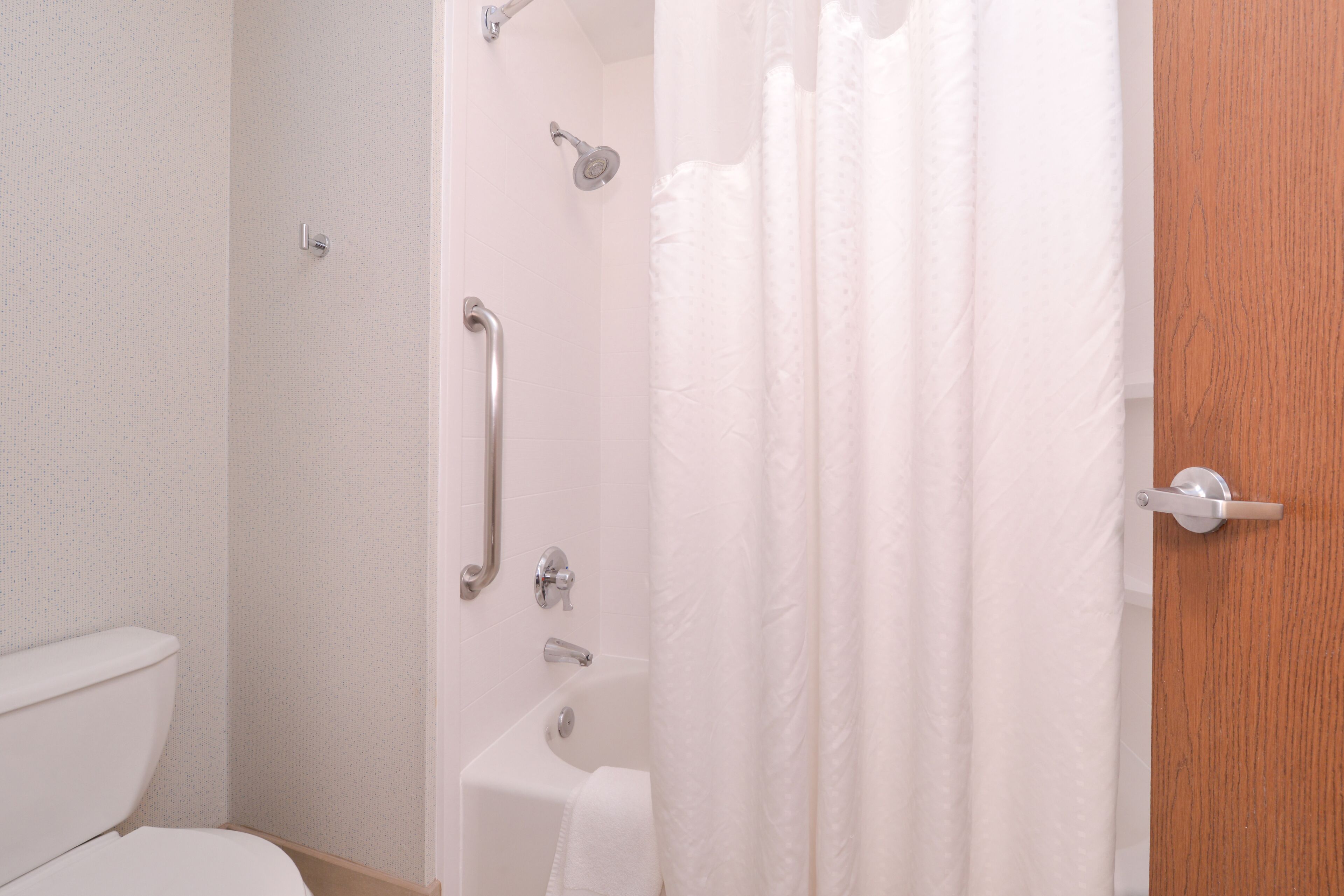 A bathroom with a toilet, a shower with a grab bar, and a wooden door.