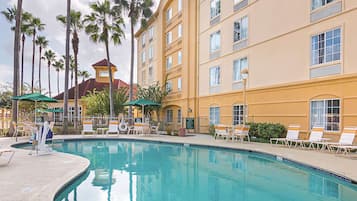 Outdoor pool, pool umbrellas, sun loungers