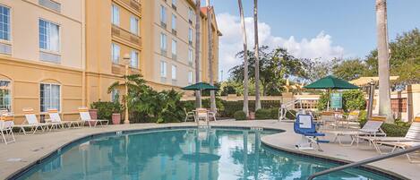 A hotel pool area with lounge chairs and umbrellas, surrounded by palm trees and a multi-story building.
