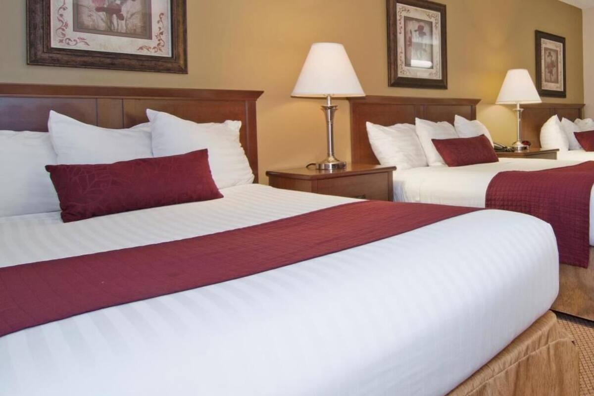 Ein Hotelzimmer mit zwei Betten, jeweils mit weißer Bettwäsche und roten Akzenten, Nachttischlampen und gerahmten Bildern an den Wänden.