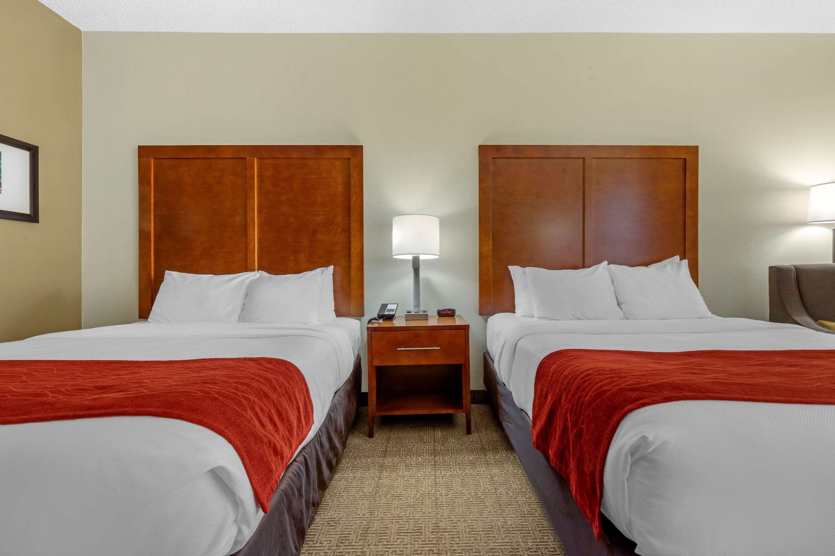 A hotel room with two beds, each with a wooden headboard, white bedding, and a red throw blanket. There is a nightstand between the beds with a lamp and a phone.