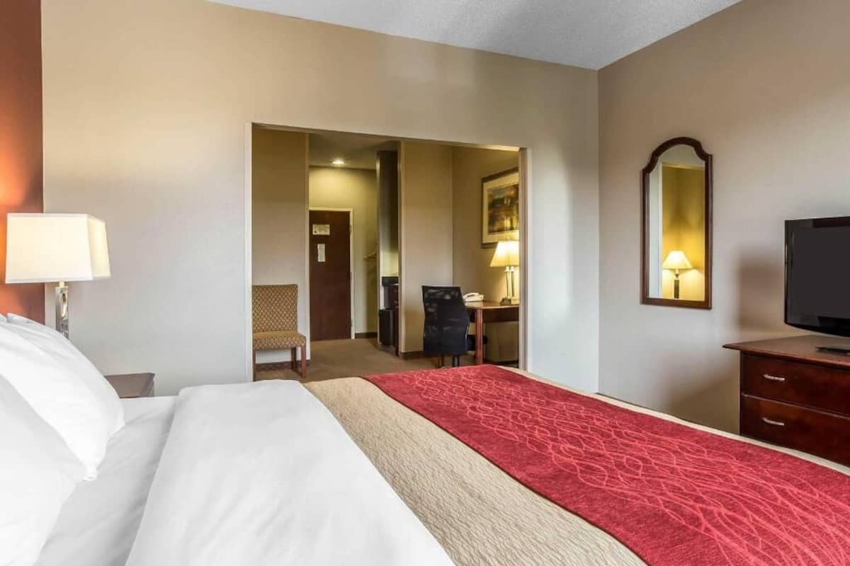 A hotel room with a bed, a desk, a chair, a television, and a mirror.