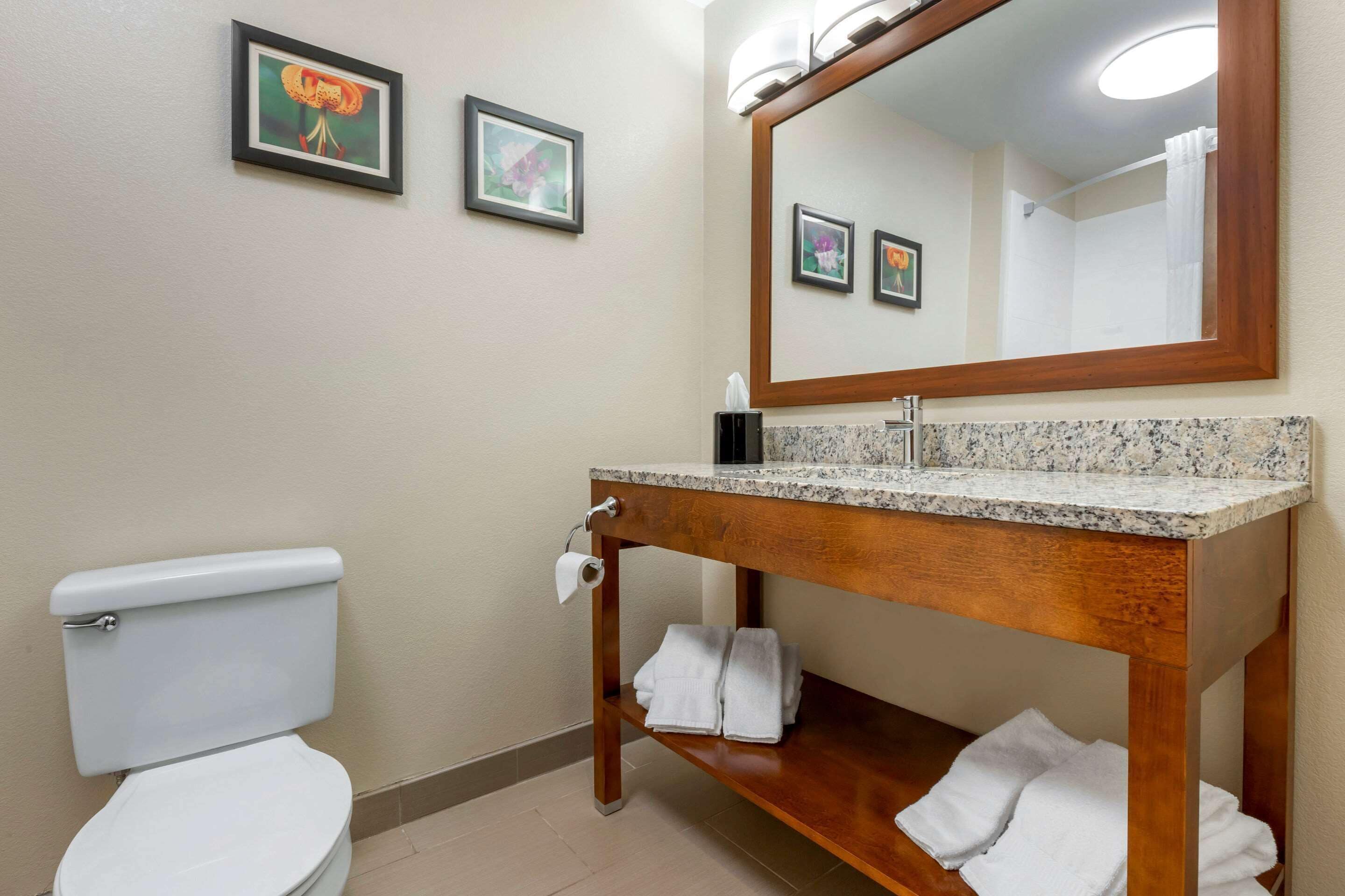standard room, 2 double beds, non smoking | bathroom | hair dryer, towels
