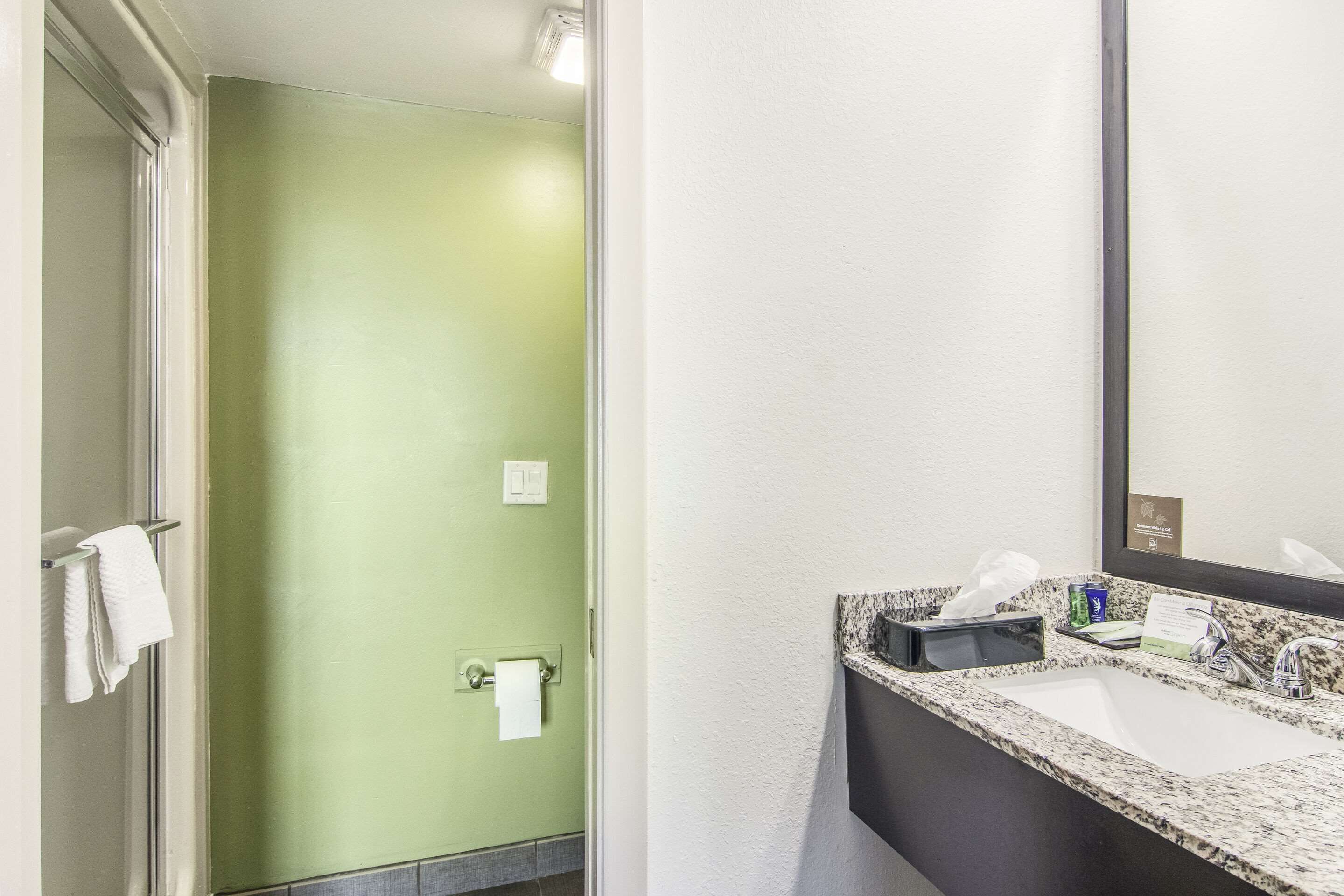 A bathroom with a green wall, a white sink, and a mirror.