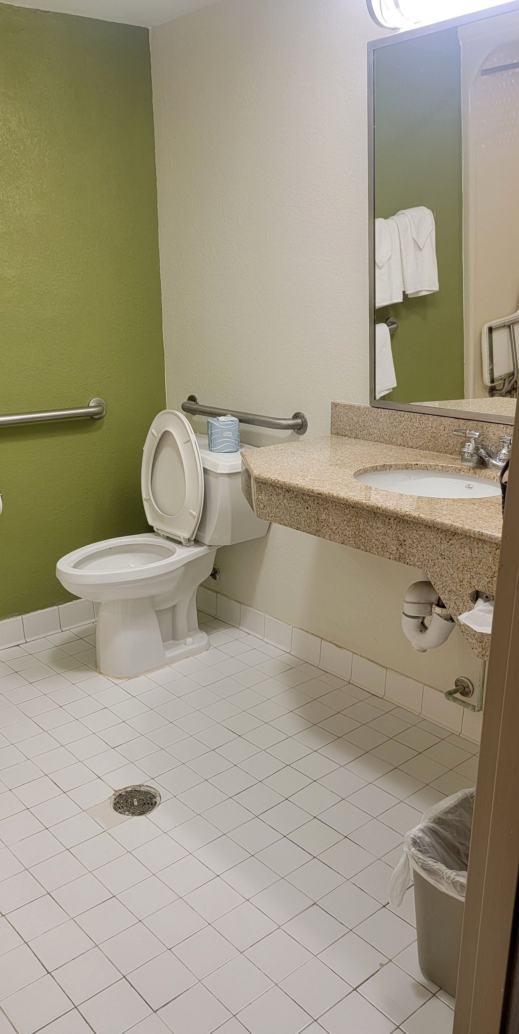 A bathroom with a toilet, sink, mirror, and handrails.