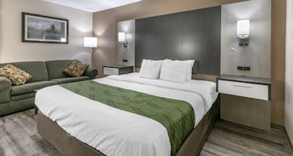 Quality Inn Rogersville
