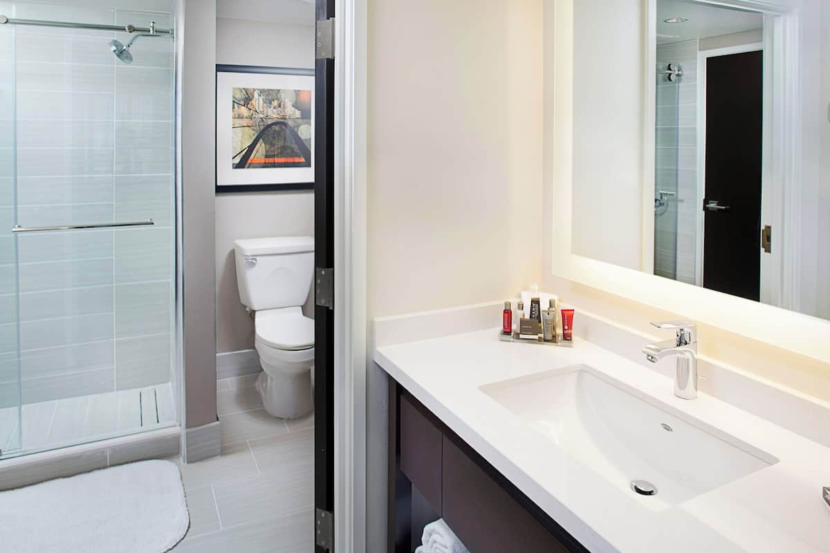 combined shower/bathtub, free toiletries, hair dryer, bathrobes