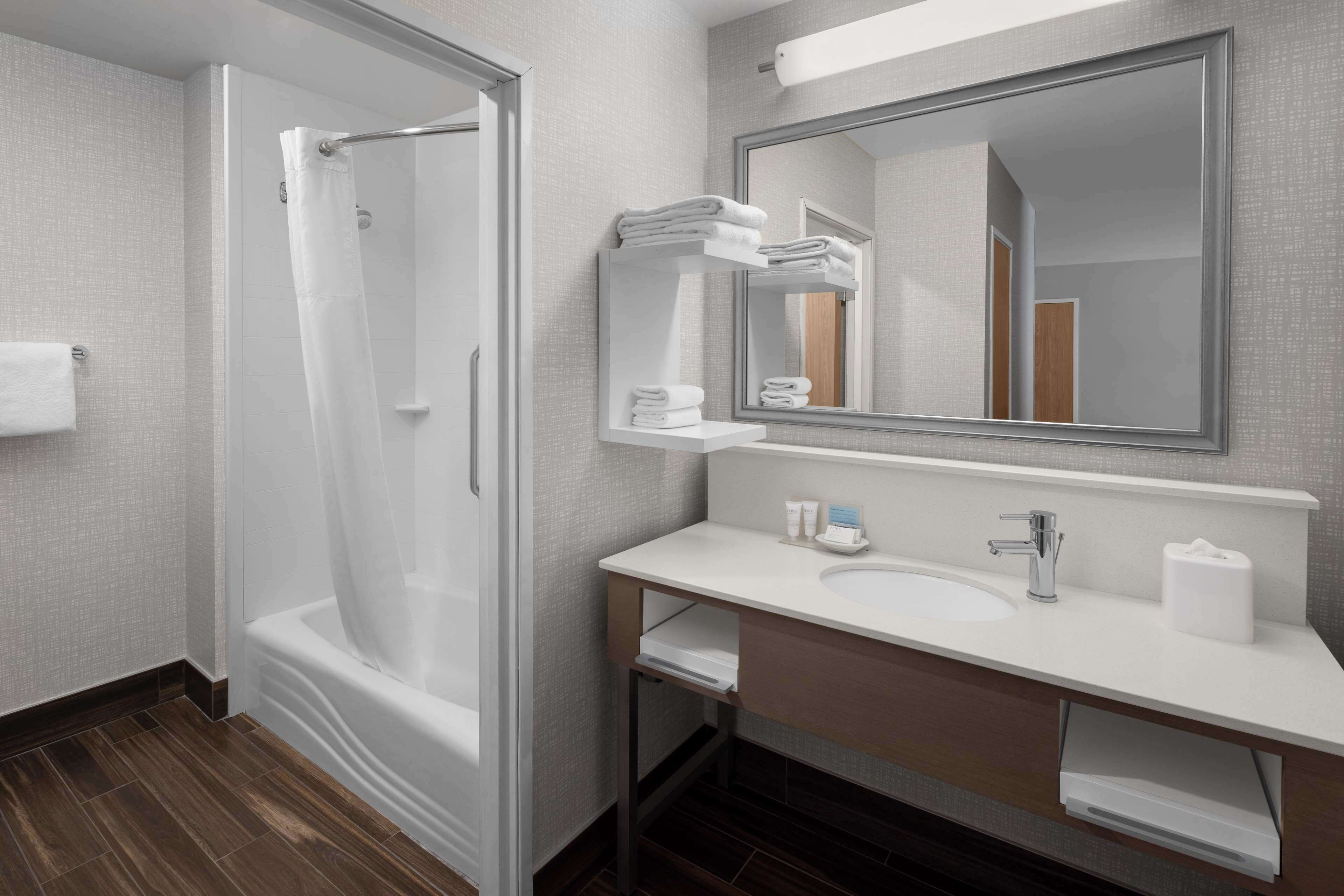 deluxe room, 1 king bed, non smoking | bathroom | free toiletries, hair dryer, towels