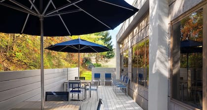 Hampton Inn Roanoke/Hollins - I-81