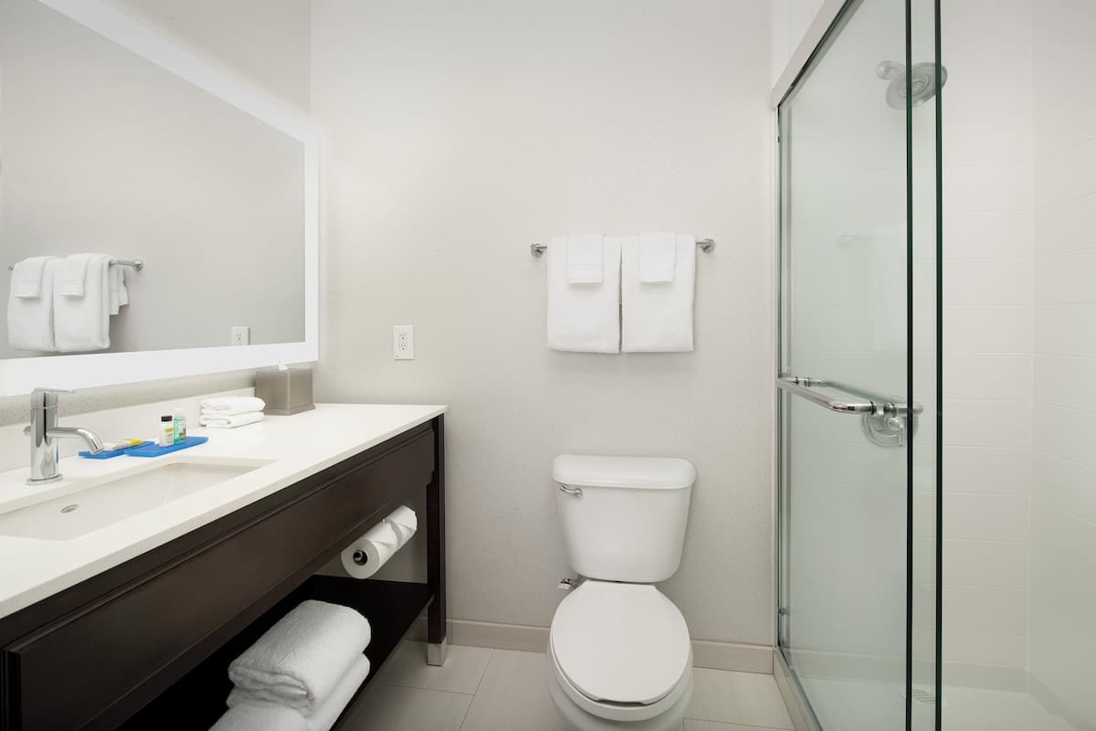A modern bathroom with a white sink, a toilet, and a glass shower enclosure.