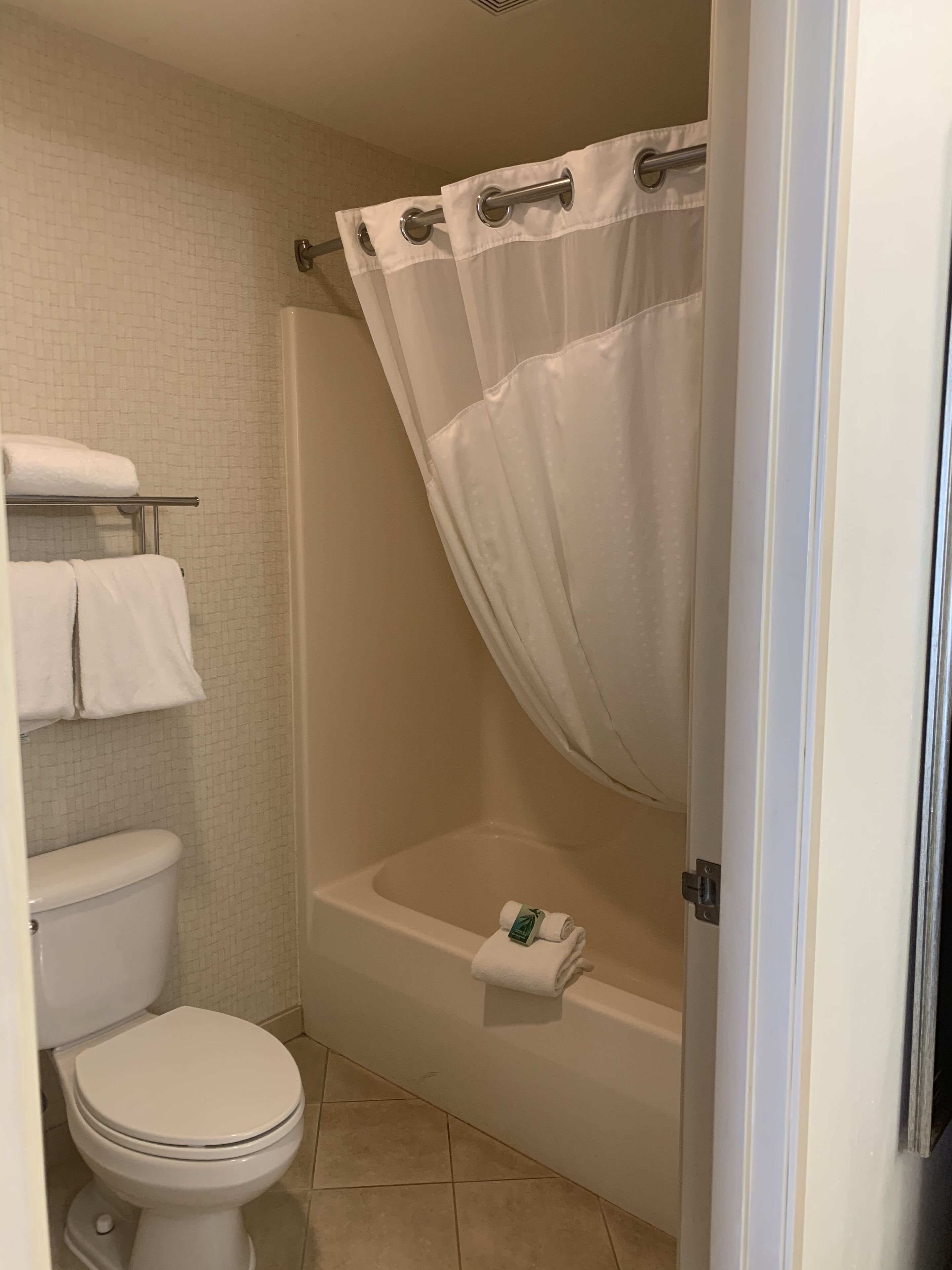combined shower/bathtub, hair dryer, towels