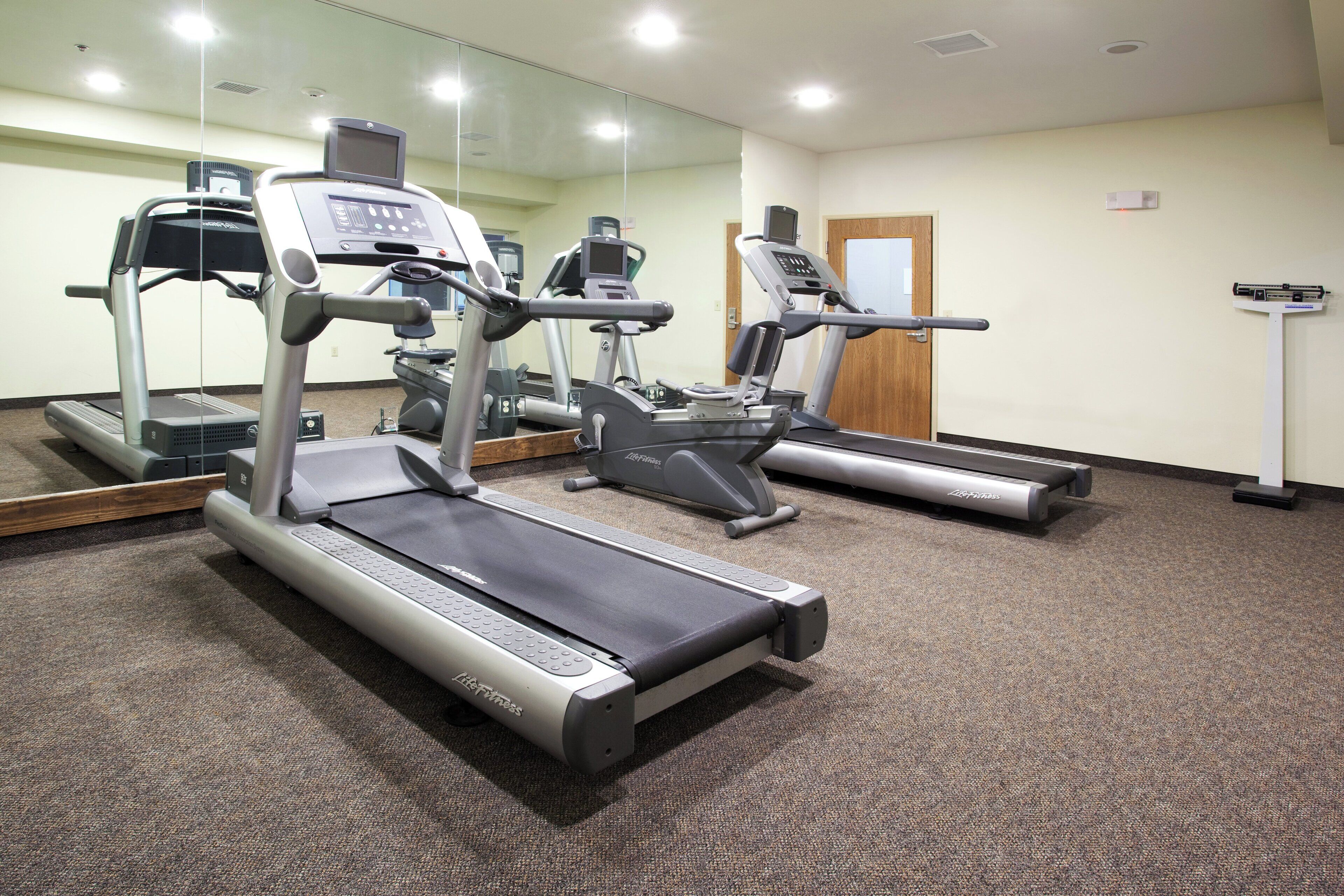 A gym with treadmills, elliptical machines, and a stationary bike.