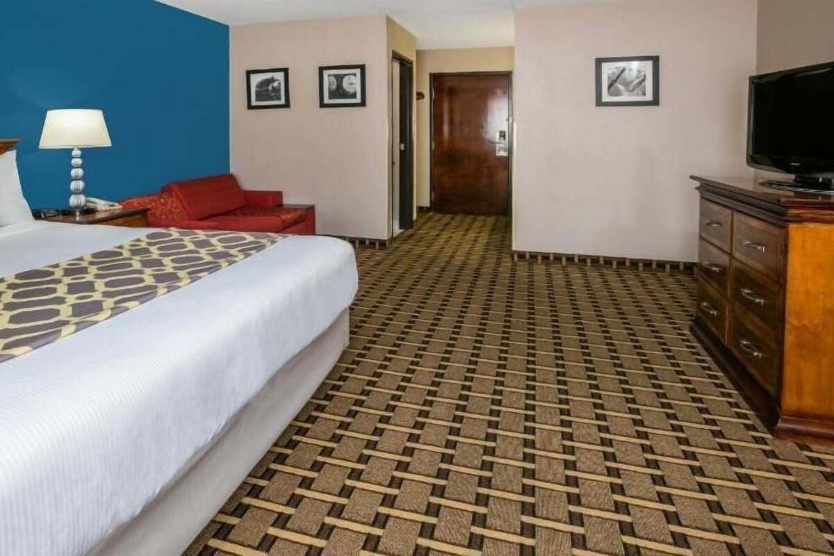 A hotel room with a bed, a desk, a TV, and a patterned floor.