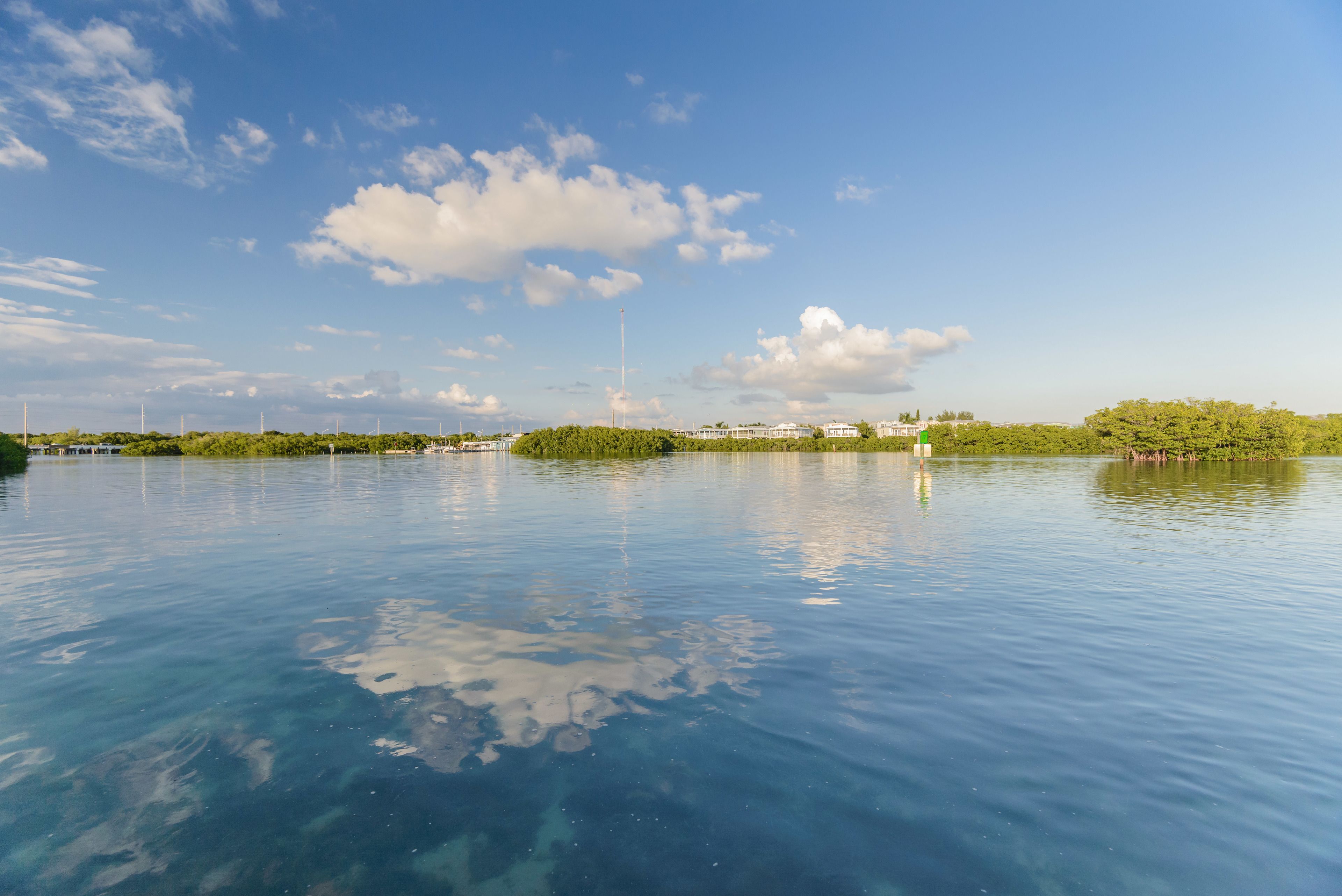 A calm body of water with a clear sky and distant greenery.