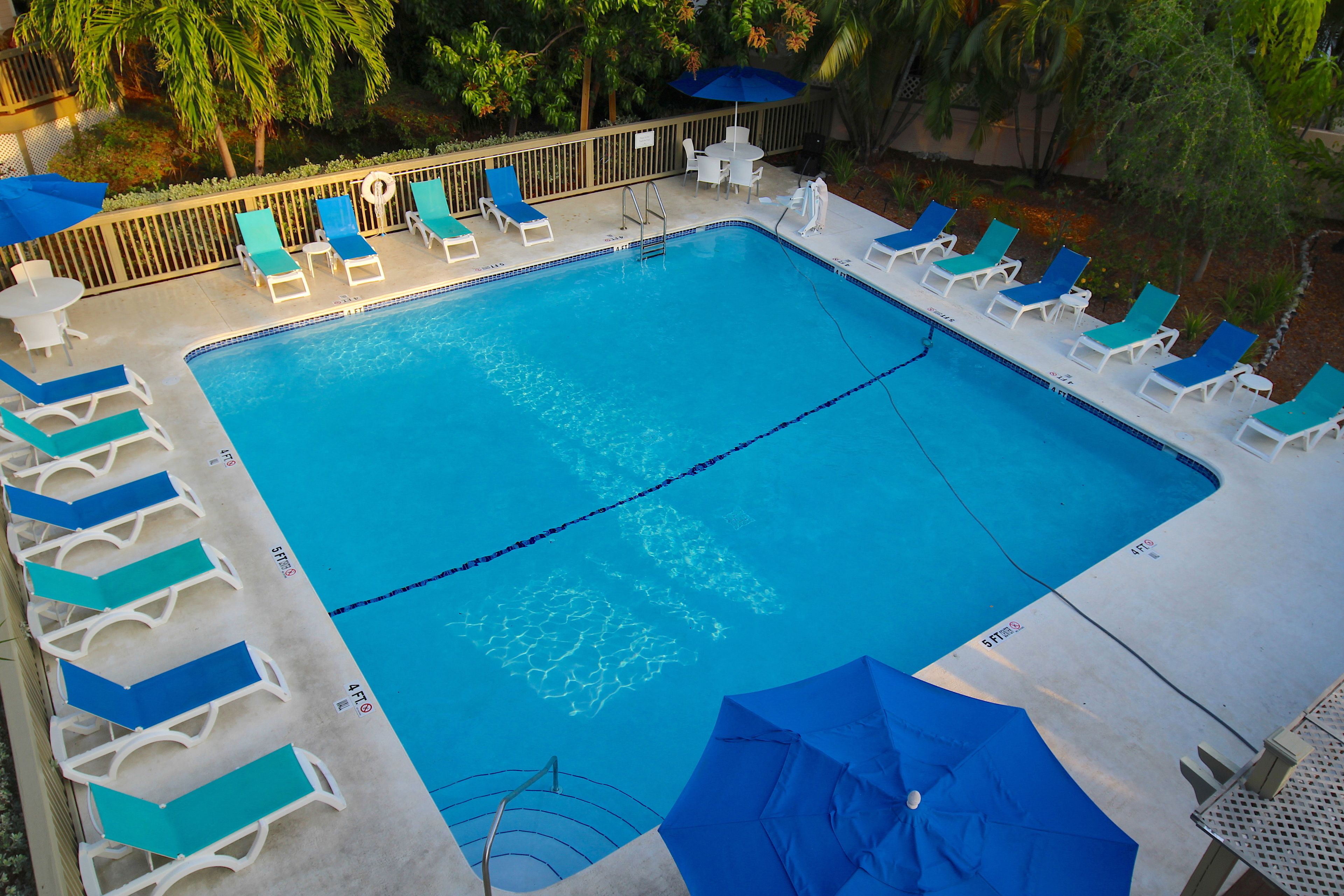 A rectangular swimming pool with blue water, surrounded by white lounge chairs and blue umbrellas.