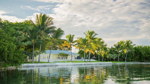 A serene lakeside scene with palm trees and a building with a light-colored facade.